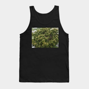 Mountain pine Tank Top